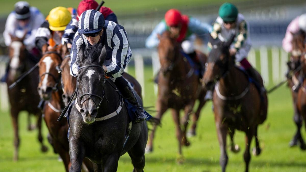 Curragh 